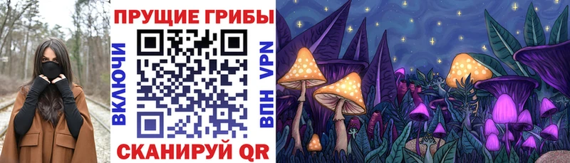 Галлюциногенные грибы Cubensis где купить наркотик Советский